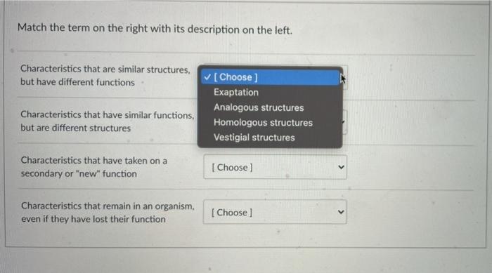 Solved Match the term on the right with its description on | Chegg.com