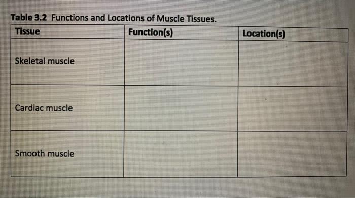 Solved Table 3.1 Functions and Locations of Epithelial | Chegg.com