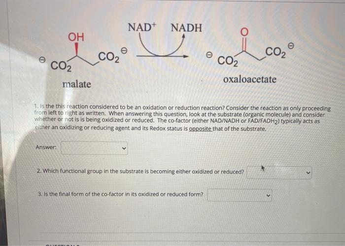 nadh molecule