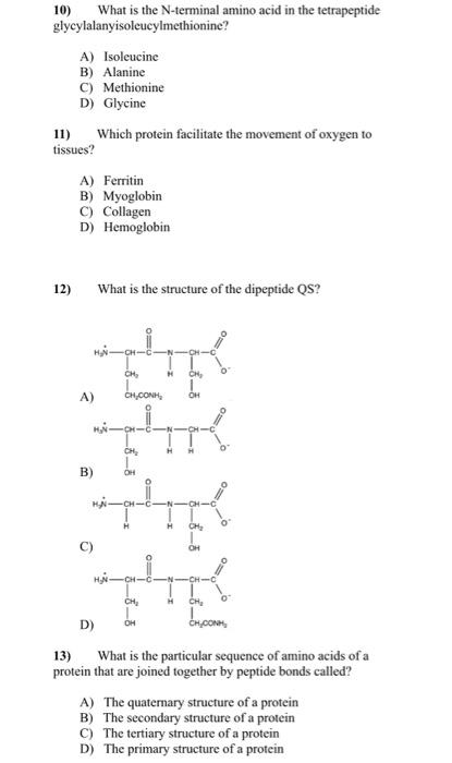 Solved 10) What is the N-terminal amino acid in the | Chegg.com
