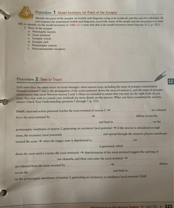 Solved Procedure 1 Model Inventory for Parts of the Synapse | Chegg.com