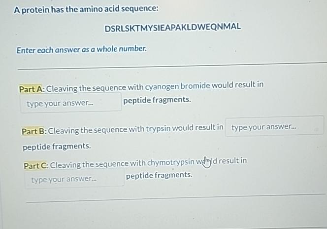 Solved A protein has the amino acid | Chegg.com