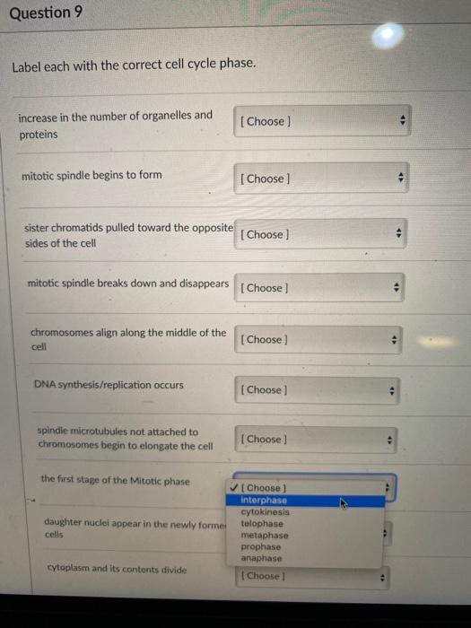 Solved Question 9 Label each with the correct cell cycle | Chegg.com