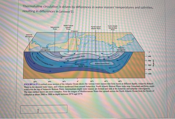 Thermohaline circulation is driven by differences in water masses temperatures and salinities. resulting in differences in (