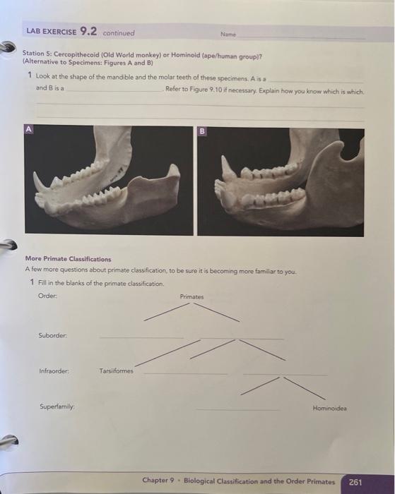 Solved LAB EXERCISE Nam 9.2 Primate Classification Section | Chegg.com