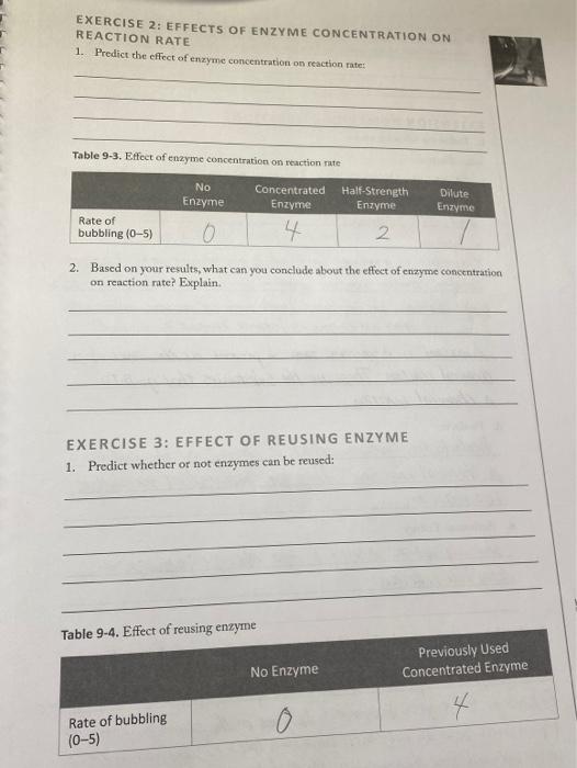 Solved EXERCISE 2: EFFECTS OF ENZYME CONCENTRATION ON | Chegg.com