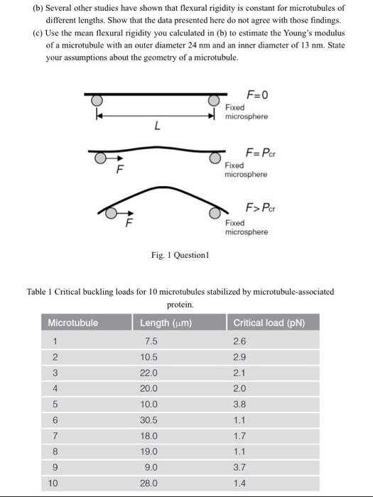 solved-3-the-flexural-rigidity-of-a-rod-like-structure-like-chegg