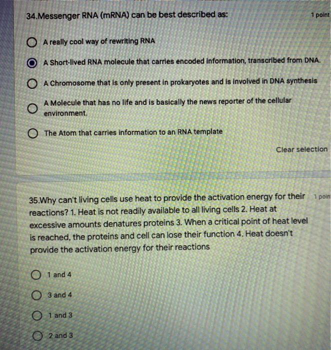 Solved 34.Messenger RNA (mRNA) can be best described as: 1 | Chegg.com