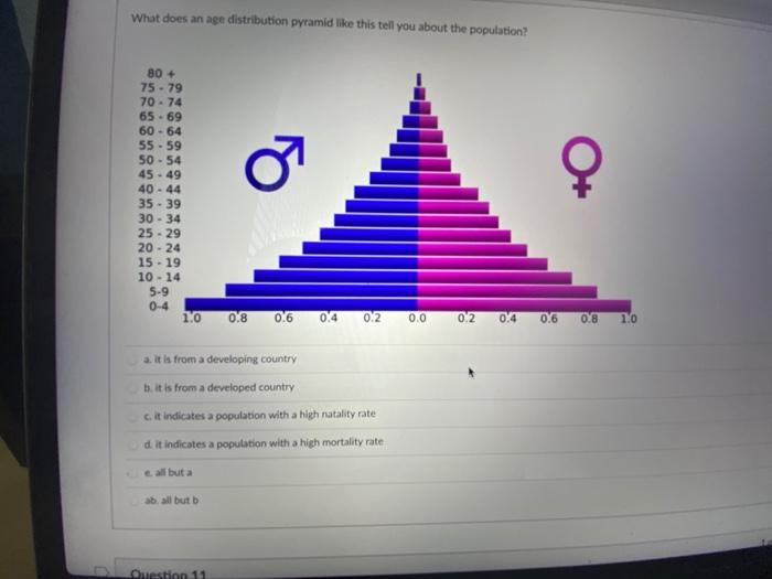 Age Distribution Pyramid