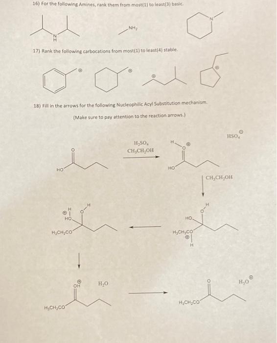 Solved 16) For the following Amines, rank them from most(1) | Chegg.com