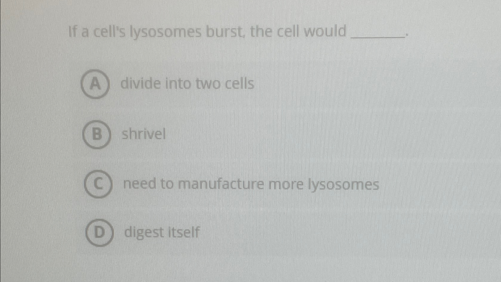 Solved If a cell's lysosomes burst, the cell woulddivide | Chegg.com