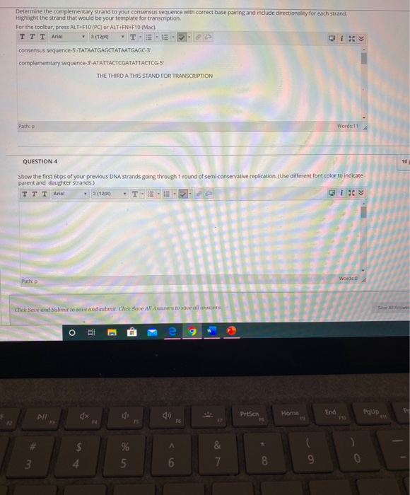 Solved Determine the complementary strand to your consensus | Chegg.com