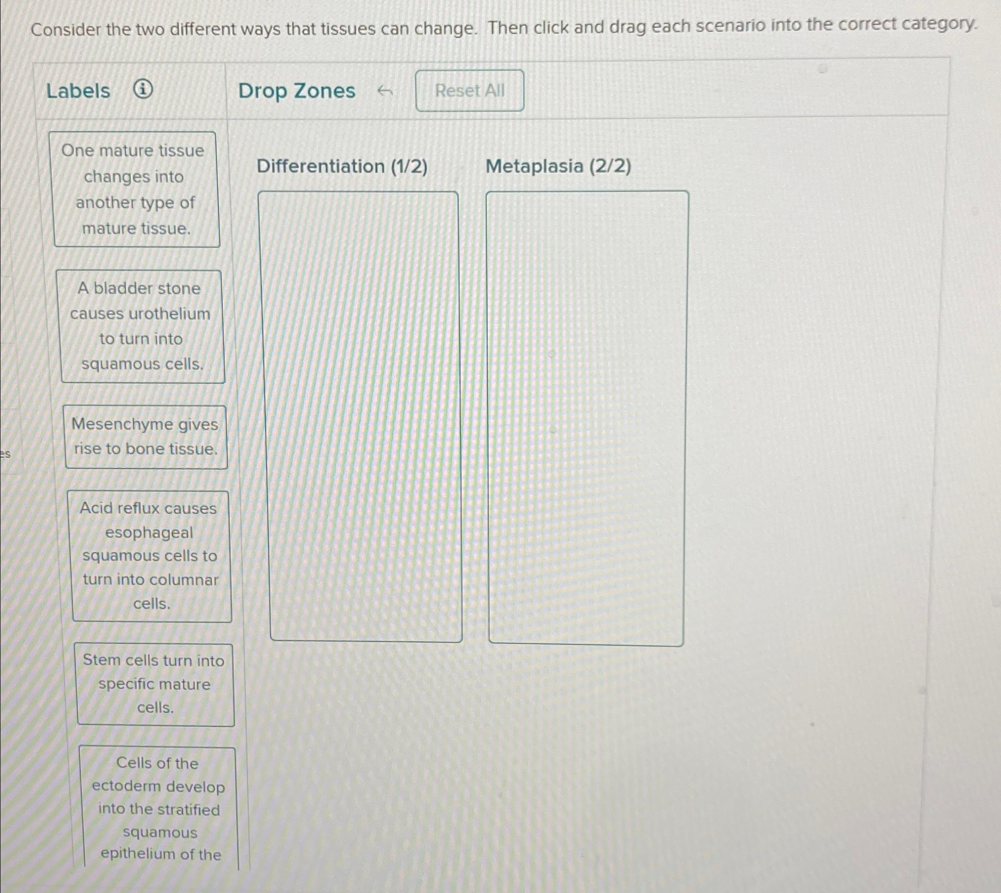 Solved Consider the two different ways that tissues can | Chegg.com