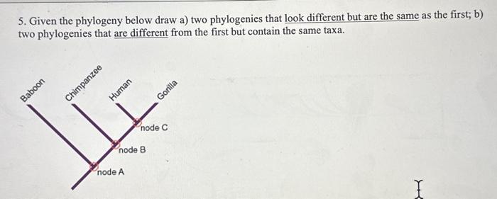 Solved 5. Given The Phylogeny Below Draw A) Two Phylogenies | Chegg.com