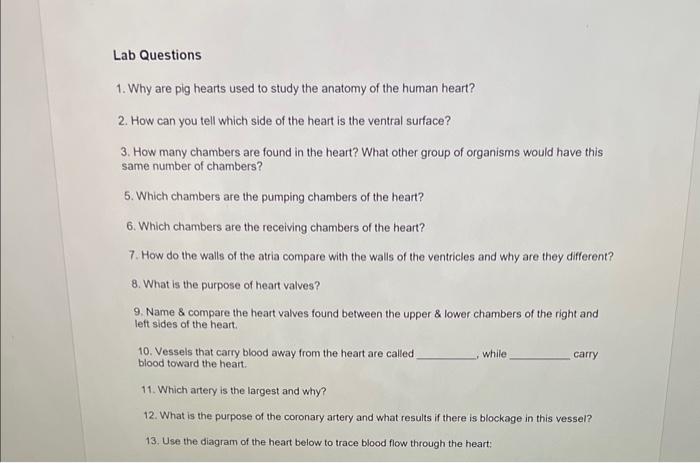 solved-1-why-are-pig-hearts-used-to-study-the-anatomy-of-chegg