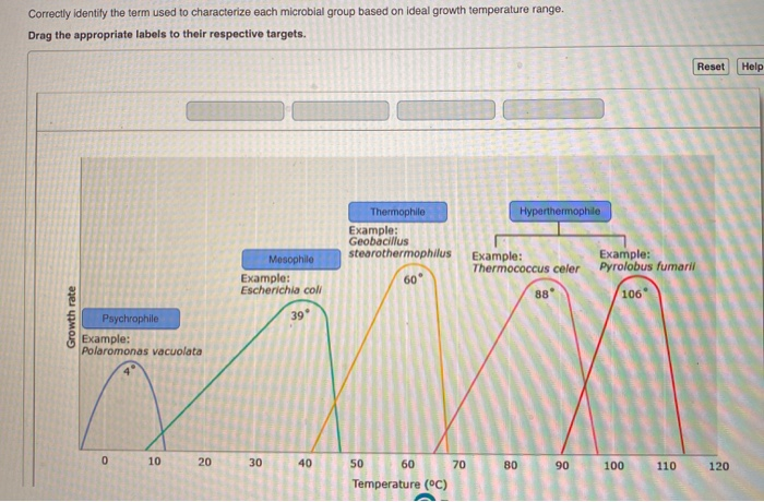 Solved Correctly Identify The Term Used To Characterize Each Chegg