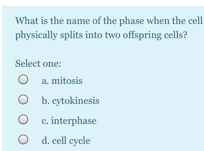 Solved please i need all these multiple choice answer if you | Chegg.com