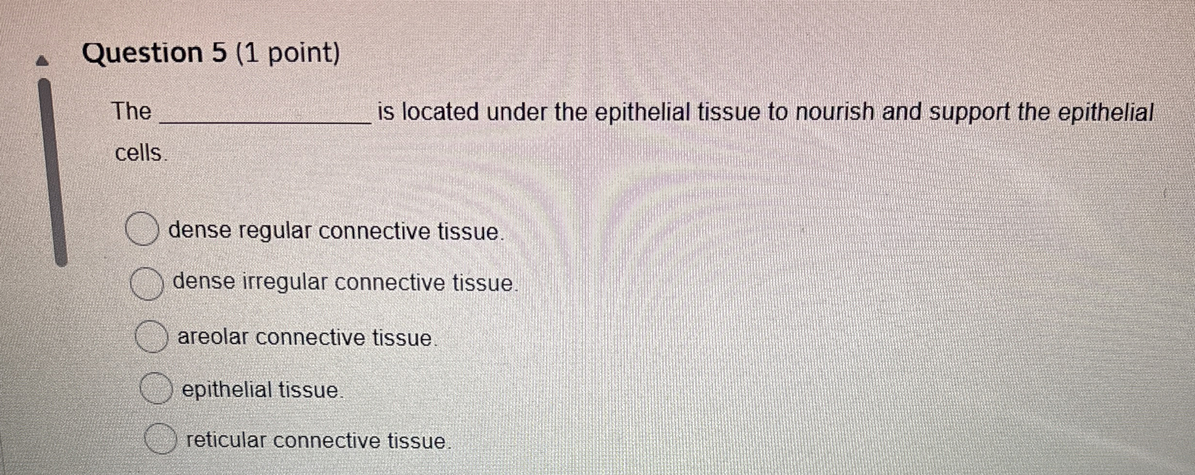 Solved Question 5 (1 ﻿point)Theis located under the | Chegg.com
