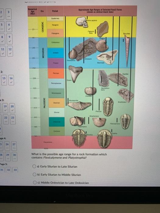 Solved XX Order the subset of events and rock layers listed | Chegg.com