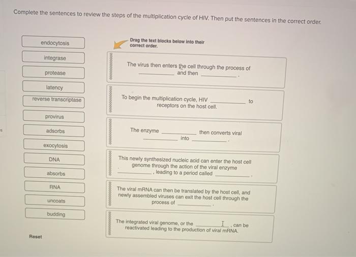 solved-complete-the-sentences-to-review-the-steps-of-the-chegg