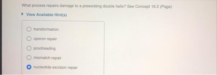 Solved What process repairs damage to a preexisting double | Chegg.com
