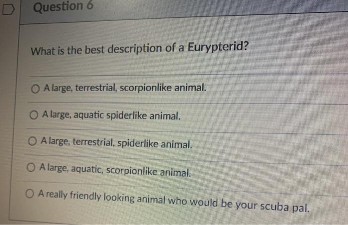 Question 6 What is the best description of a Eurypterid? A large, terrestrial, scorpionlike animal. O A large, aquatic spider