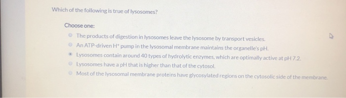Solved Which Of The Following Is True Of Lysosomes? Choose | Chegg.com Solved Which Of The Following Is True Of Lysosomes? Choose | Chegg.com