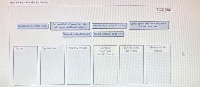 Solved Match The Structure With The Function. | Chegg.com