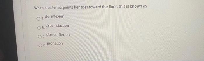 When a ballerina her toes toward the floor,