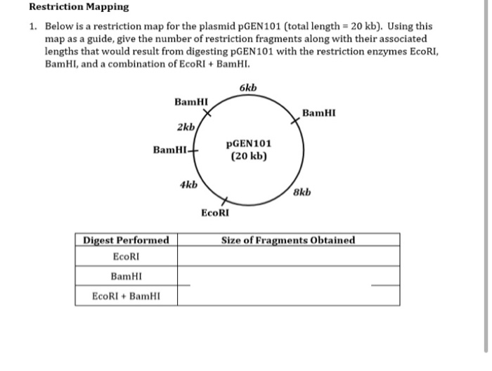 Restriction Mapg 1 Below Is A Restriction Map For Chegg 