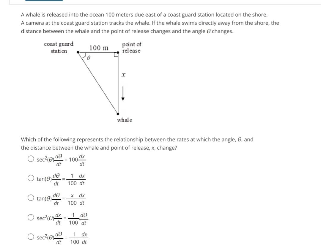 Solved A whale is released into the ocean 100 meters due | Chegg.com