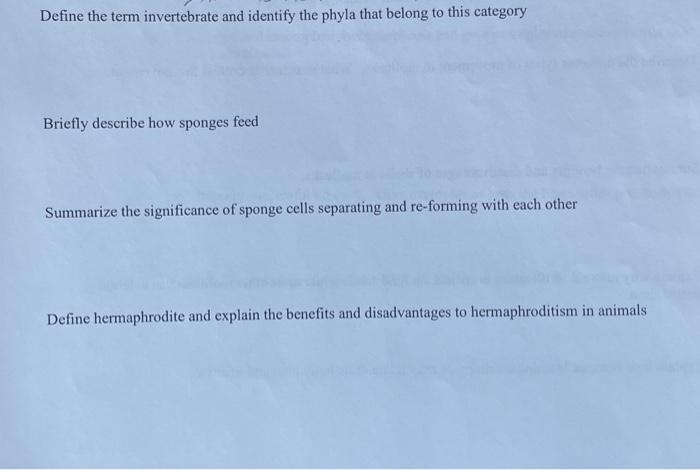 Solved Define the term invertebrate and identify the phyla | Chegg.com