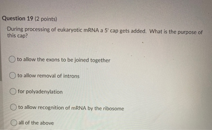 Solved Question 17 (2 points) Catabolite activator protein: | Chegg.com