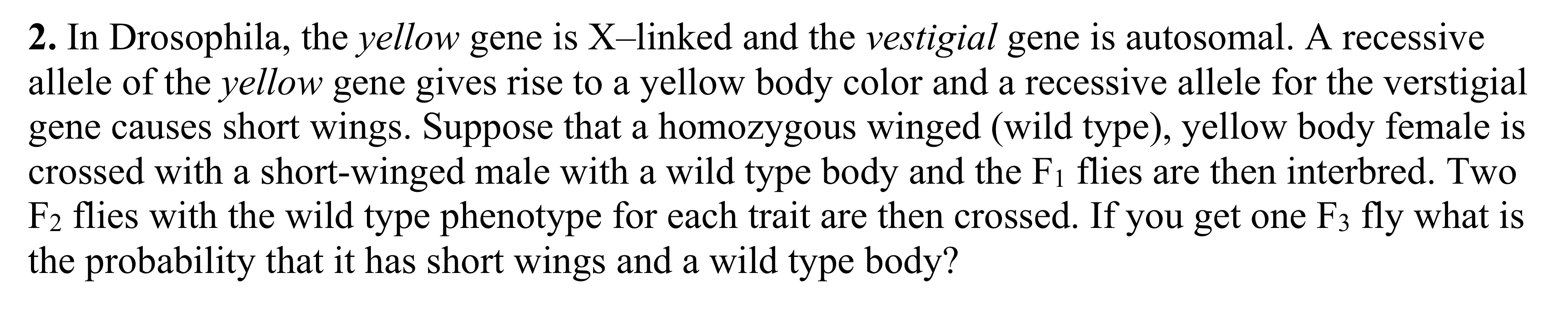 In Drosophila, the yellow gene is X -linked and the | Chegg.com