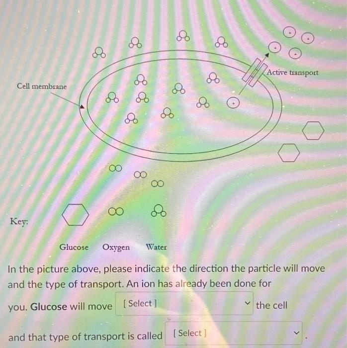 Solved blank 1 options: inside, outsideblank 2 options: | Chegg.com