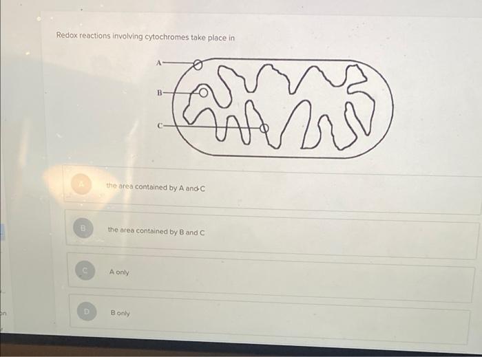 Solved Consider Complex I and Complex IV of the electron | Chegg.com