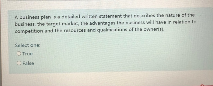 business plan is a verbal statement true or false