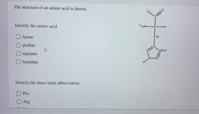 Solved The structure of an amino acid is shown. Identify the | Chegg.com