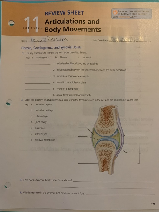 Solved Instructors may at of the Review Sheets using ASP | Chegg.com