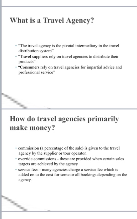 travel agent consortiums