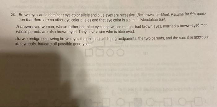 solved 20 brown eyes are a dominant eye color allele and cheggcom