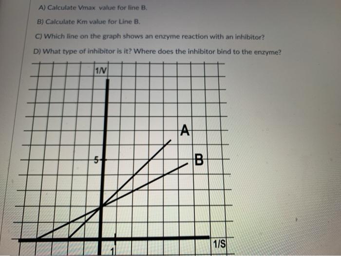Solved A) Calculate Vmax value for line B. B) Calculate Km