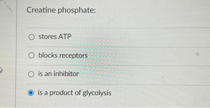 Solved Creatine phosphate: stores ATP blocks receptors is an | Chegg.com