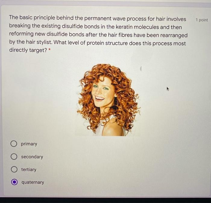 Solved 1 point The basic principle behind the permanent wave | Chegg.com