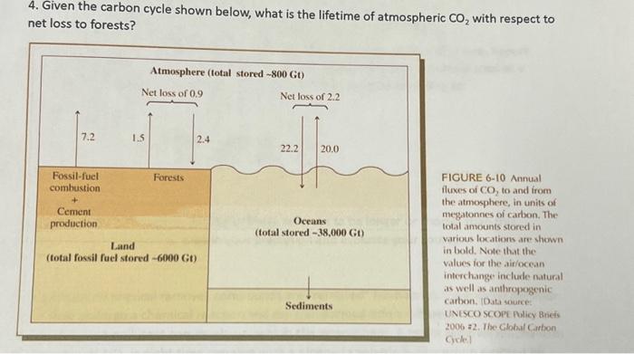 Solved Given the carbon cycle shown below, what is the | Chegg.com