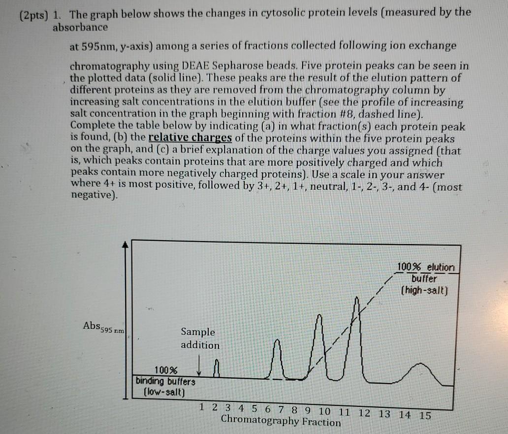 Solved Protein (b) Relative Charge of Proteins in Protein | Chegg.com