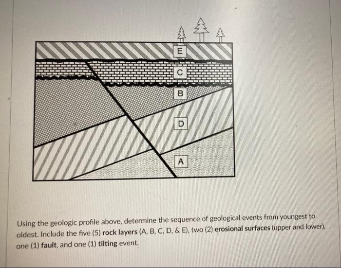 Solved EN O C B D A Using the geologic profile above, | Chegg.com