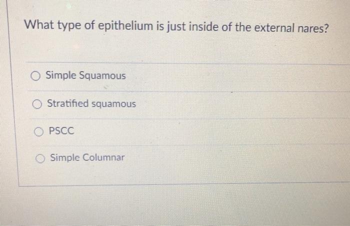 Solved What type of epithelium is just inside of the | Chegg.com