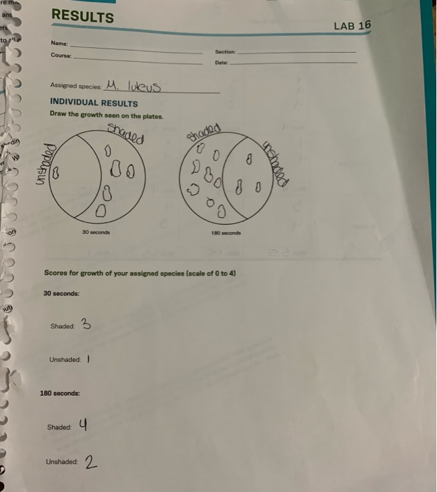 QUESTIONS LAB 16 Name Section Course: Date 1. How did | Chegg.com