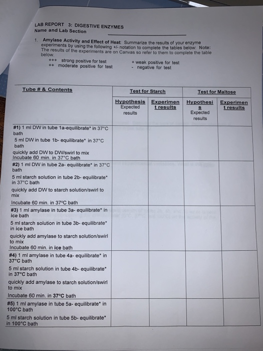 1. LAB 3 DIGESTIVE ENZYMES MATERIALS prepared